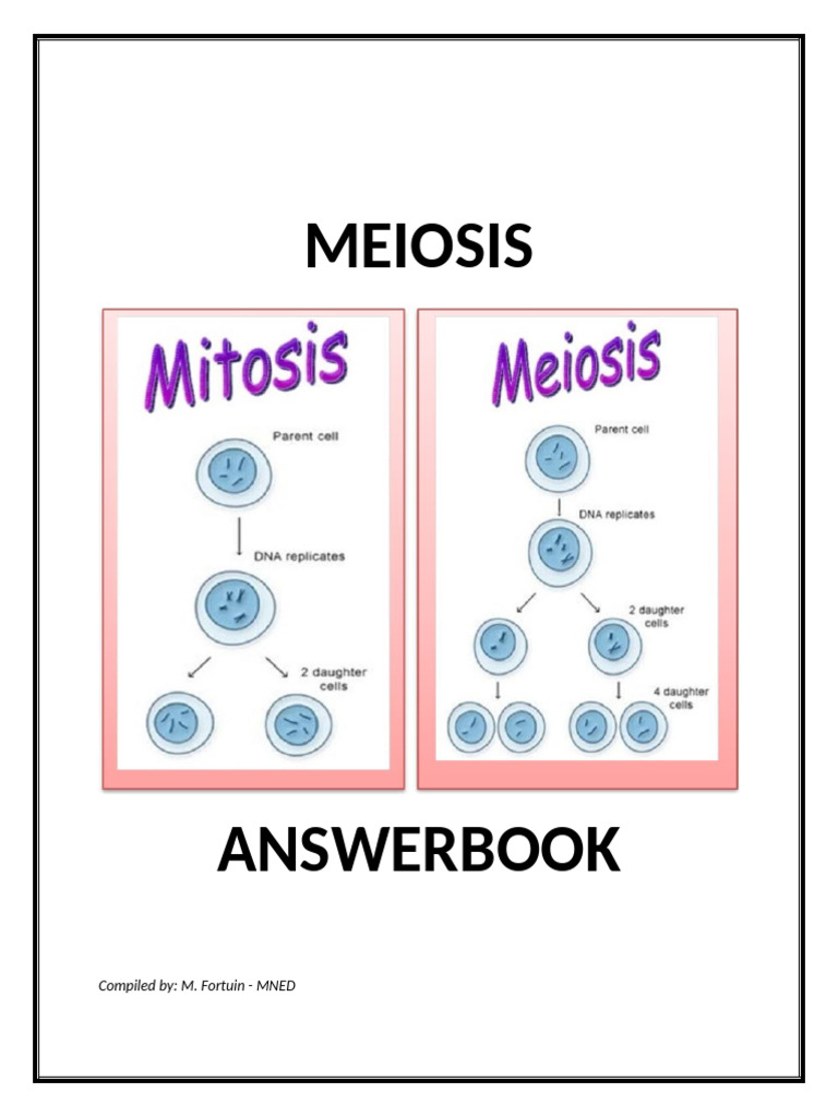 Meiosis Study Guide and Terms | PDF | Meiosis | Chromosome