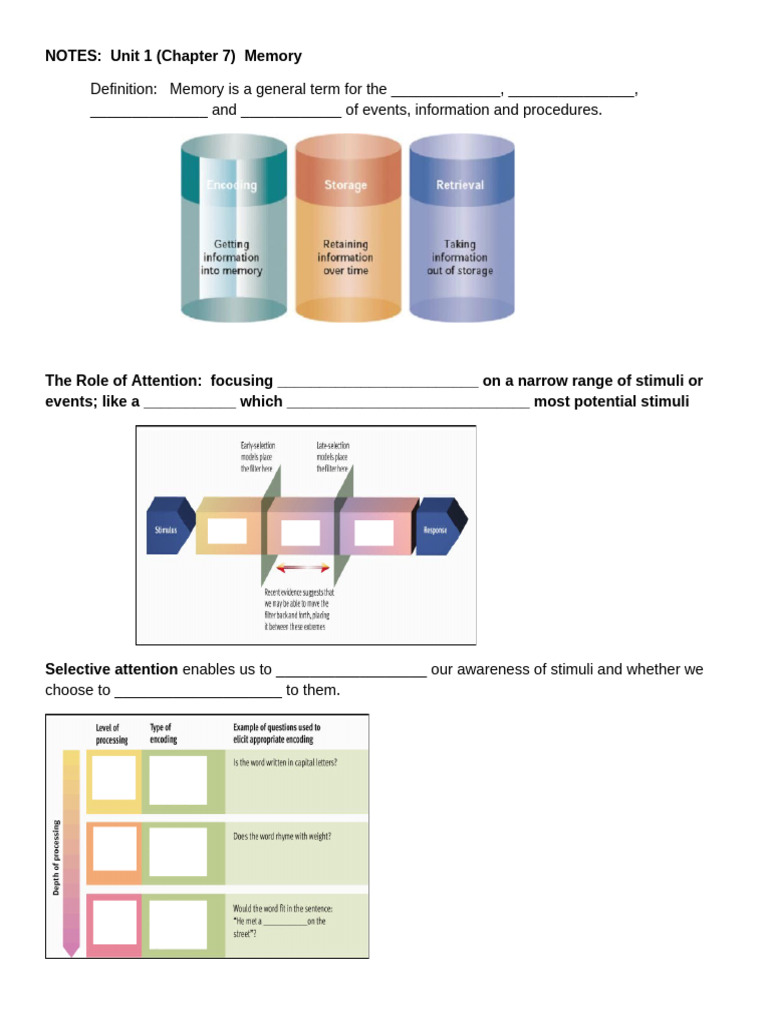 Memory: Encoding, Storage, and Retrieval | PDF | Recall (Memory) | Memory