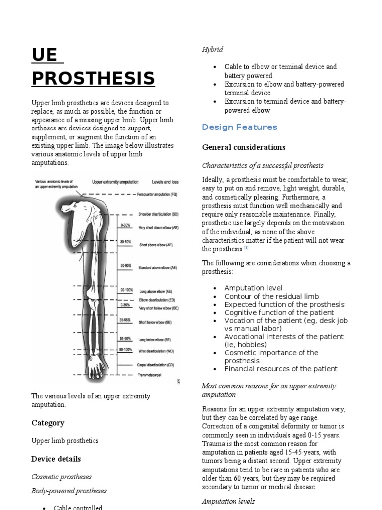 Ue Prosthesis Prosthesis Anatomical Terms Of Motion