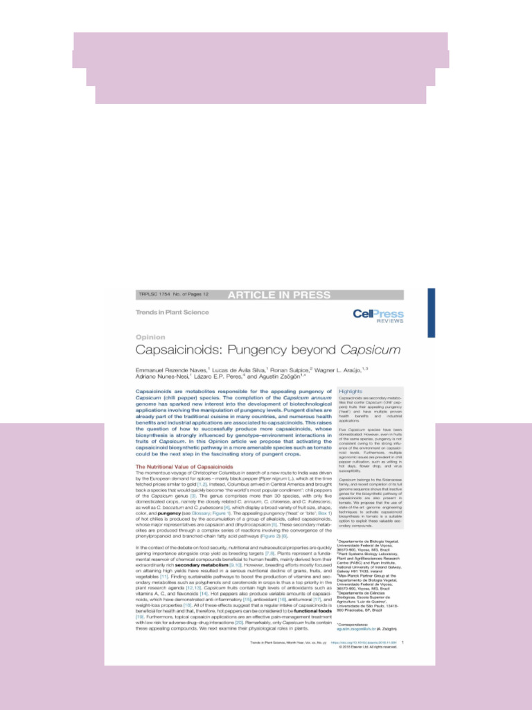 36942 | PDF | Capsicum | Chili Pepper