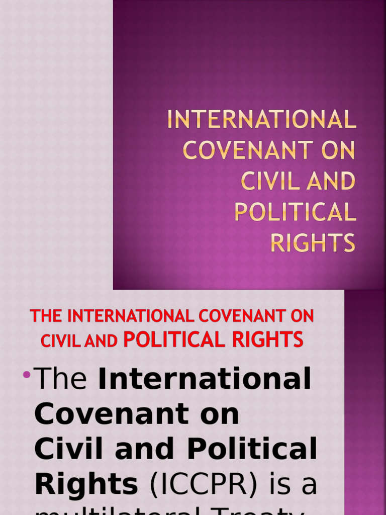 The Interrnational Bill of Human Rights International Covenant On Civil ...