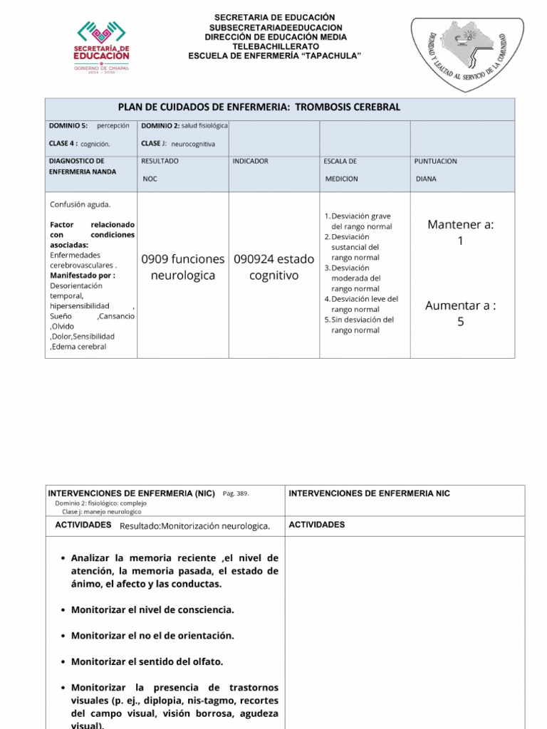 Plan de Cuidados de Enfermeria - PDF - 20250930 - 162330 - 0000 | PDF