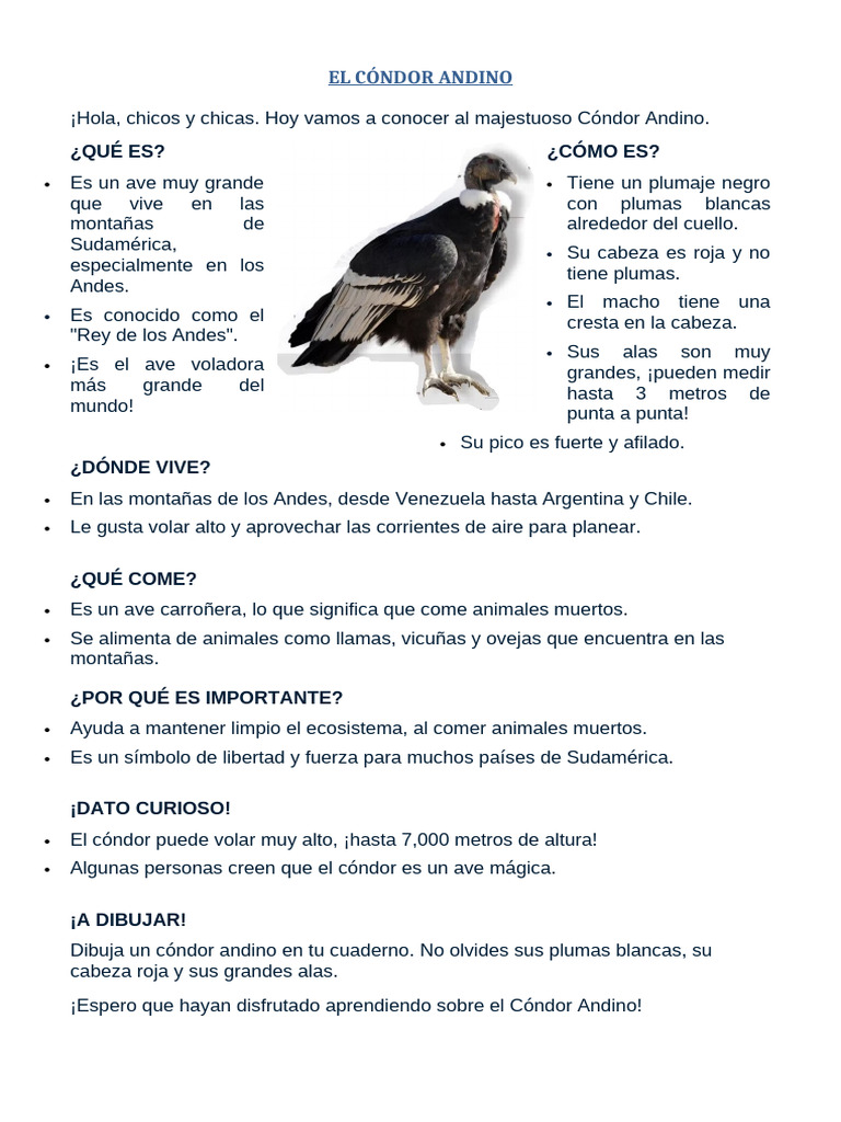 Altura y características del cóndor | PDF | Aves | Zoología