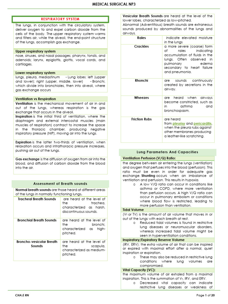 RESPI_NP | PDF | Respiratory Tract | Lung
