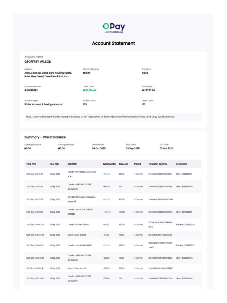 Wallet Account Statement Summary | PDF | Banks | Debit Card