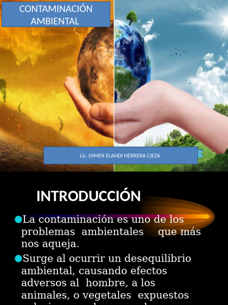 Causas y Efectos de la Contaminación Ambiental | PDF | Contaminación | Agua