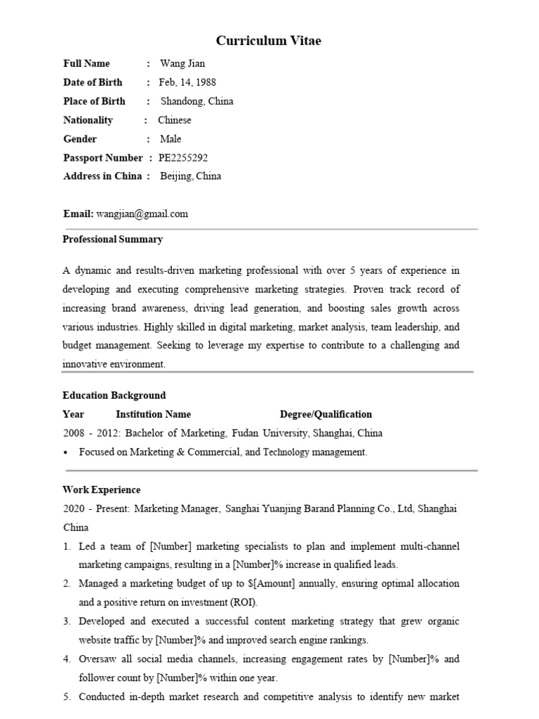 CV Wang Jian | PDF