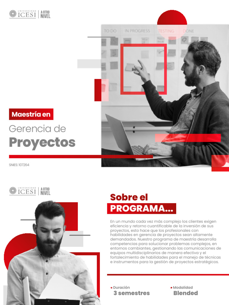 Maestría en Gerencia de Proyectos | PDF | Gestión estratégica | Business