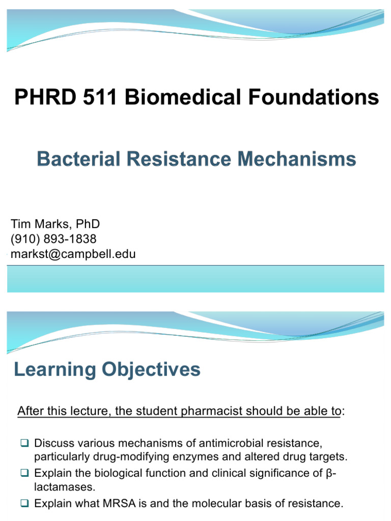 Mechanisms of Antibiotic Resistance | PDF | Beta Lactamase ...