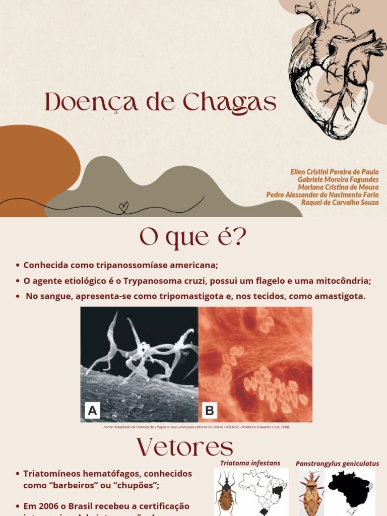 Doenças de Chagas - Grupo 6 - 240430 - 165204 | PDF | Ciências da Saúde ...