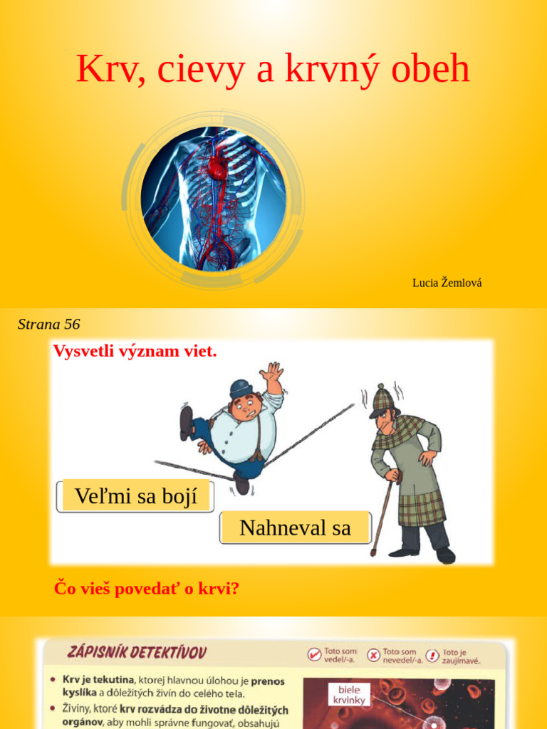 KRV, Cievy A Krvný Obeh PDA4 | PDF