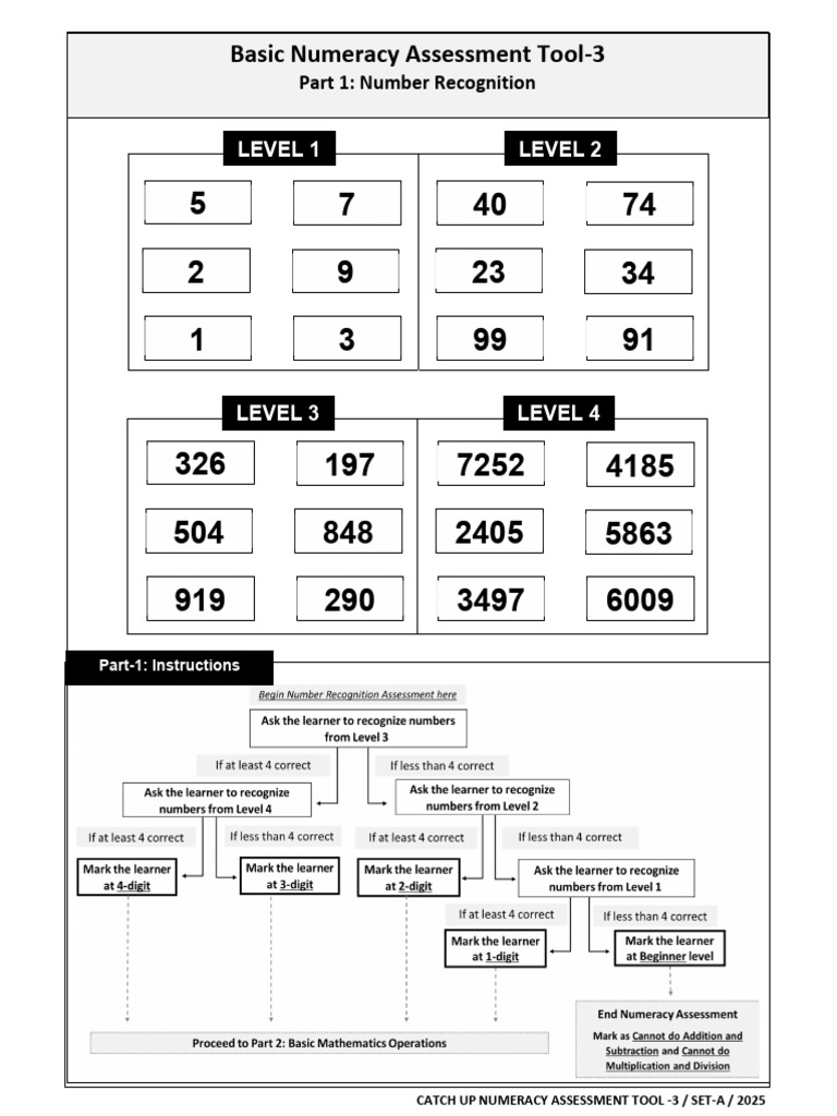 Numeracy Assessment Tool Sample 3 2025 | PDF