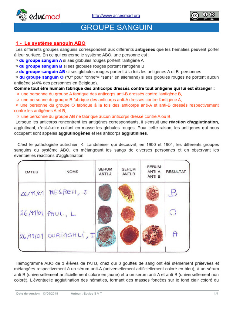 Fiche sur les groupes sanguins ABO et Rhésus | PDF | Groupe sanguin ...