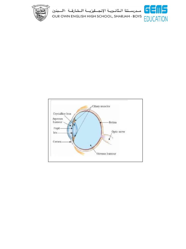 Human Eye Functions and Vision Defects | PDF | Eye | Myopia