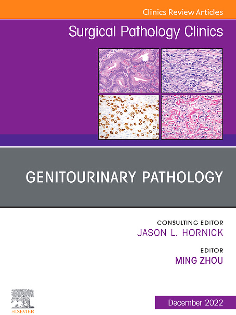 AI in Genitourinary Pathology Diagnostics | PDF | Deep Learning | Pathology