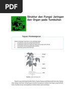 Download Struktur Dan Fungsi Jaringan Dan Organ Pada Tumbuhan by MUHAMMAD RAMLI SN93099866 doc pdf