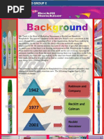 Download Reckitt Benckiser HRM Case Solution by Mohammad Rafi SN93100423 doc pdf