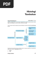 Download histologi by MUHAMMAD RAMLI SN93100545 doc pdf