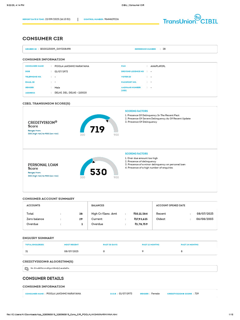 Consumer Credit Report Summary | PDF | Annual Percentage Rate ...