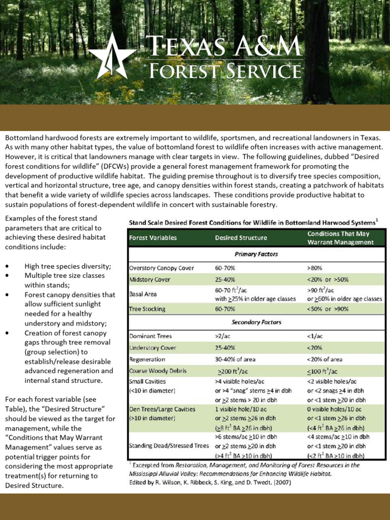 Bottomland Hardwood Forest Management Guide | PDF | Forests | Habitat