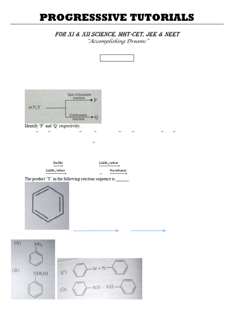 Amines Entrance Sheet 2024 | PDF | Amine | Chemical Reactions