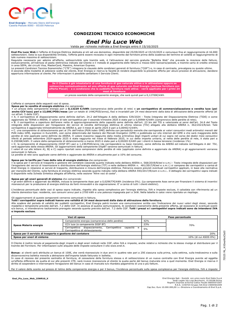 Enel-Piu-Luce-Web-Cte Contratto Super Completo | PDF