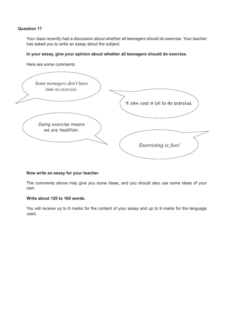 Essay Questions | PDF