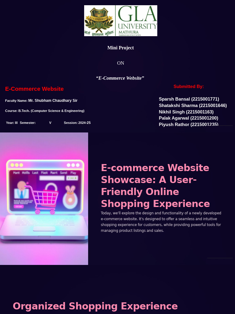 E-Commerce Website Project Overview | PDF | Usability | Java Script