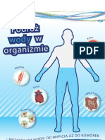 Podróż wody w organizmie