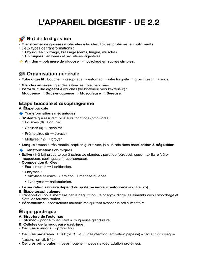 Anatomie et Fonction de l'Appareil Digestif | PDF | Appareil digestif ...