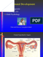03 Prenatal Development
