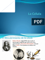 La célula_8° Biología