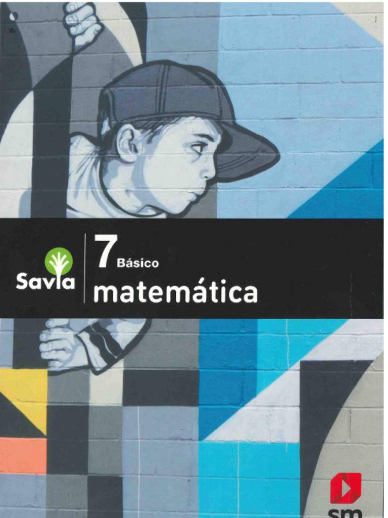 Matematica 7mo Basico | PDF