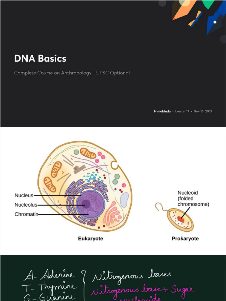 DNA Basics No Anno | PDF