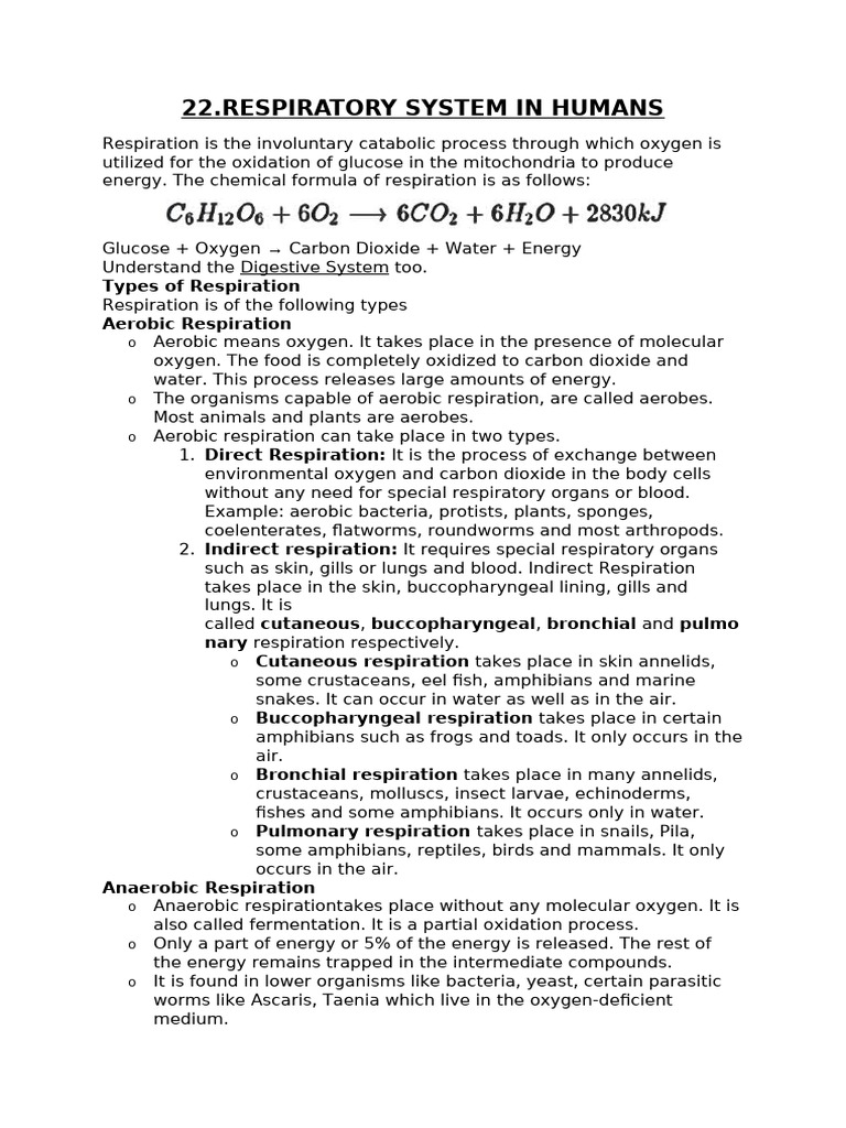 Human Respiratory System Overview | PDF | Cellular Respiration ...