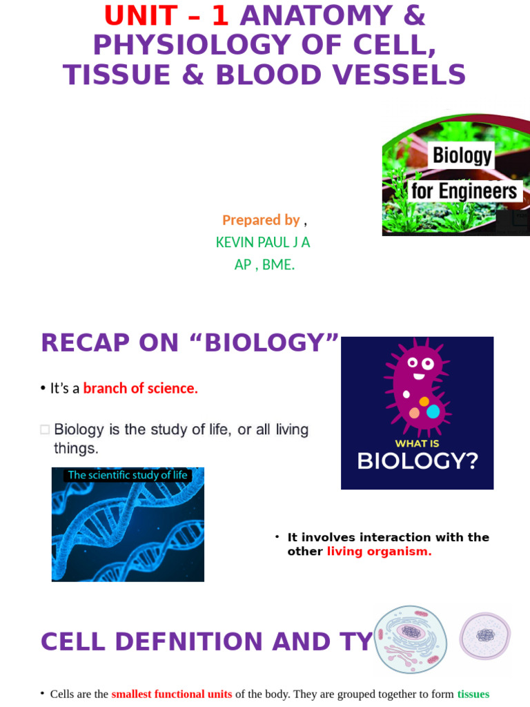 Biology For Eee Unit 1 | PDF | Epithelium | Connective Tissue
