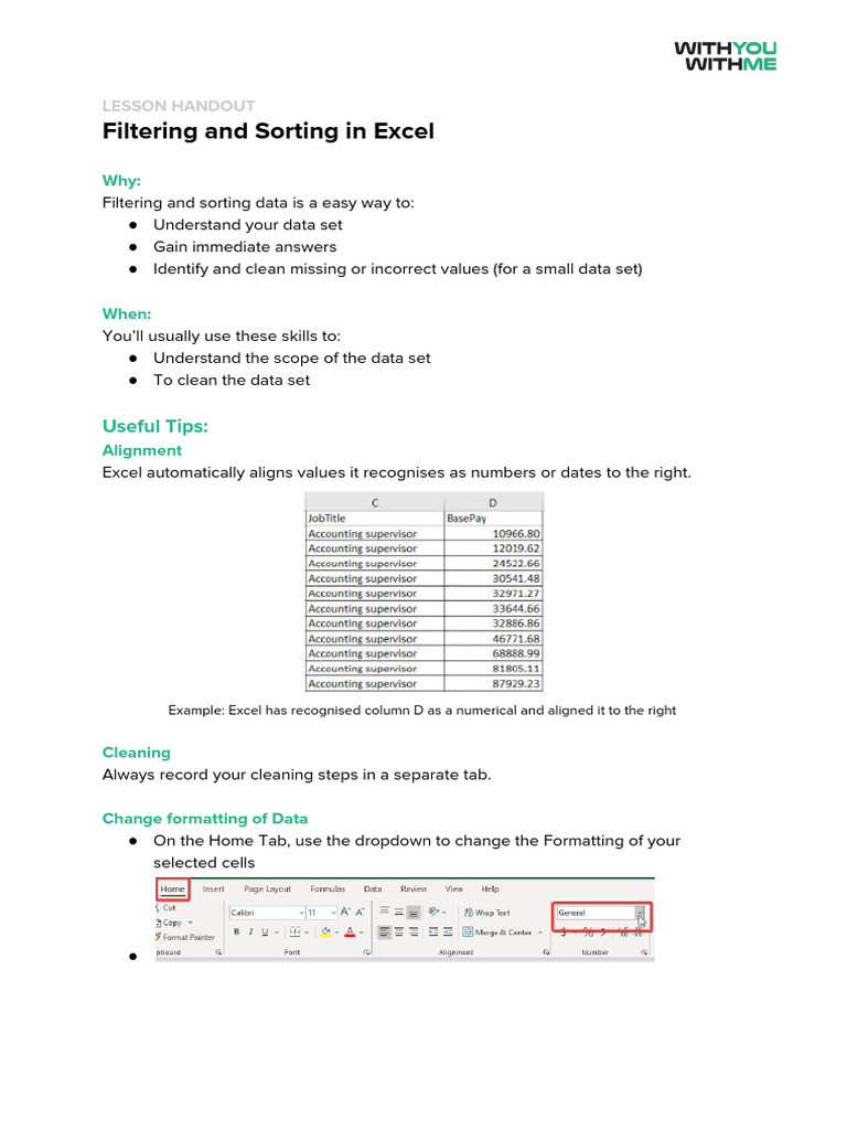 Excel Data Filtering and Sorting Guide | PDF | Microsoft Excel | Software