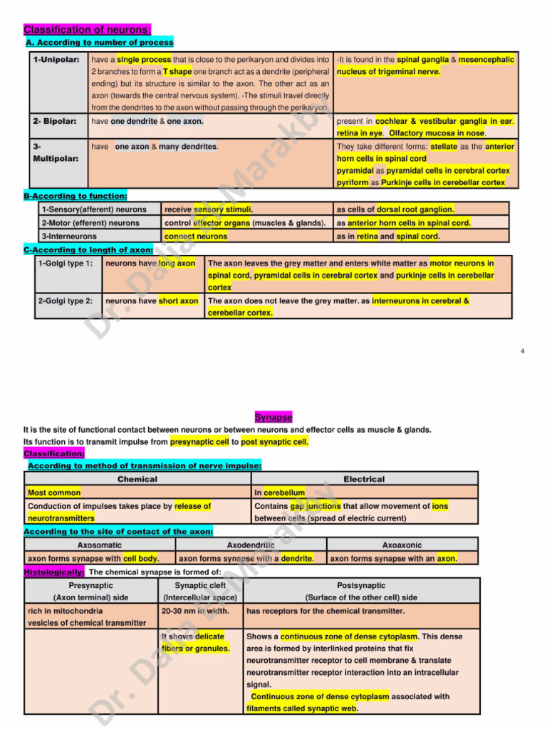 Nervous Tissue by Prof. DR Dalia El Marakby JPG | PDF