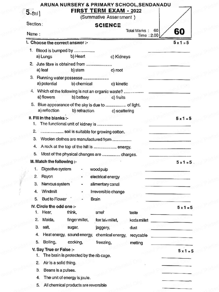 Science Question Paper 5 TH STD | PDF