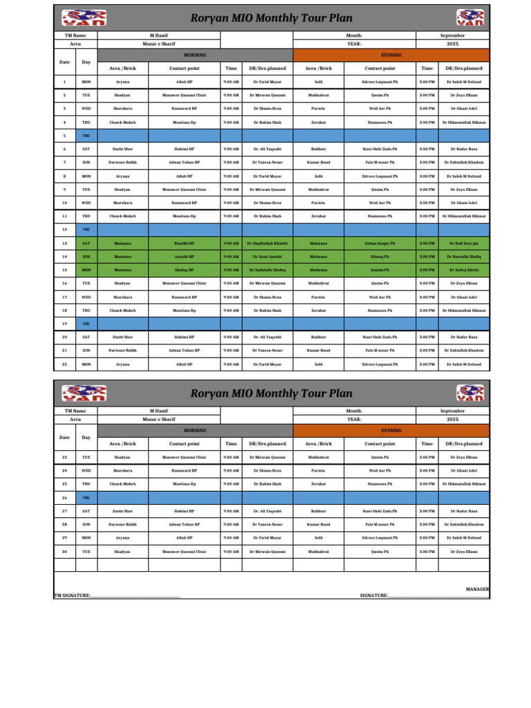 Mio Hanif Monthly Plan Roryan | PDF
