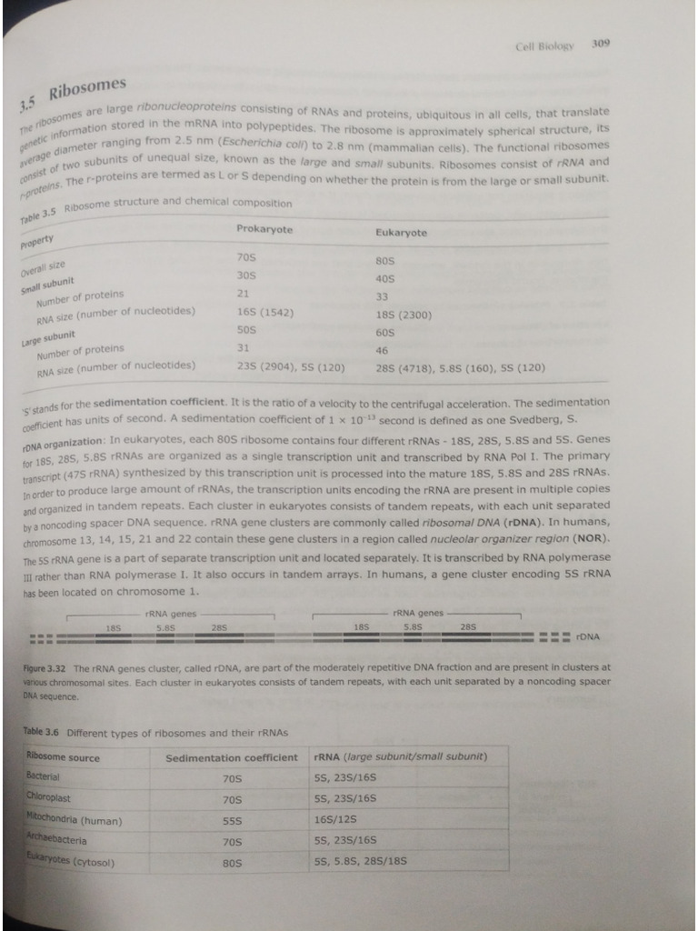 Unit 3 Cell Biology | PDF