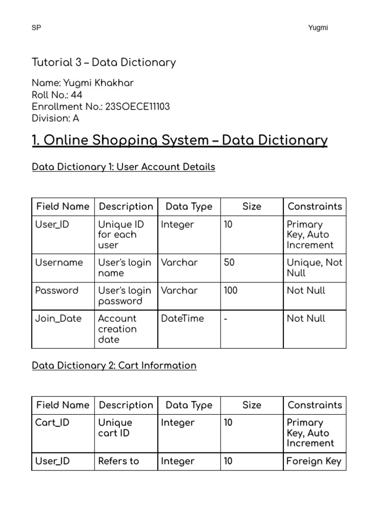 Data Dictionary for Systems Overview | PDF | User (Computing) | Computing