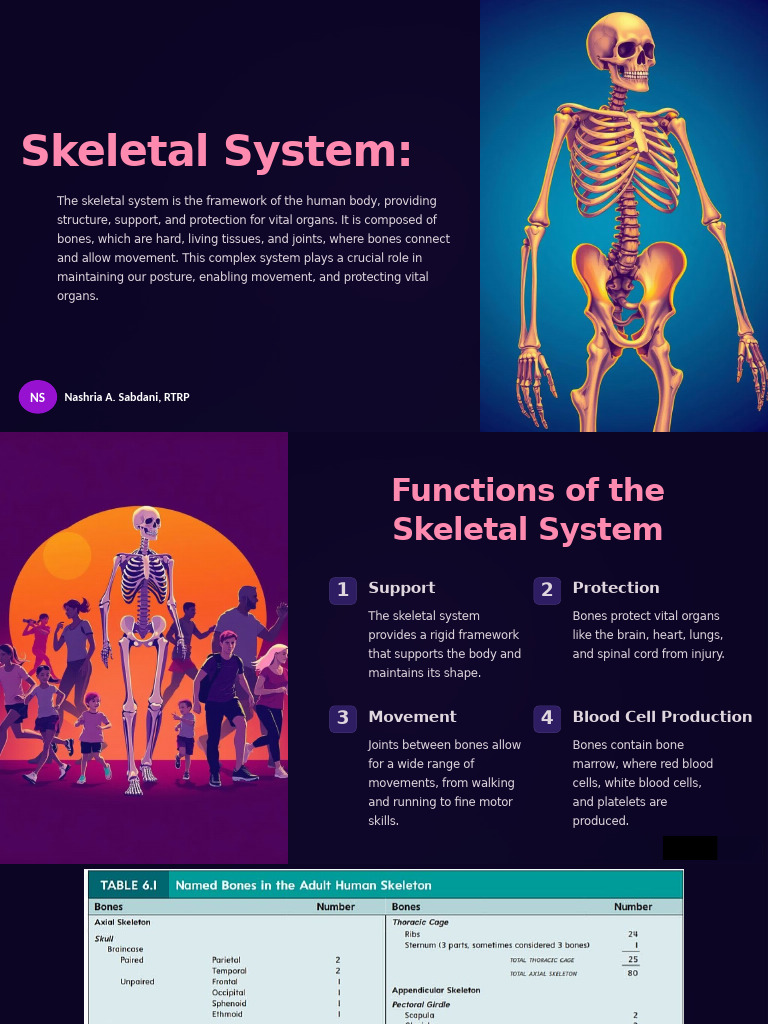 Skeletal System | PDF | Bone | Joint