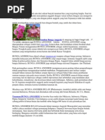 Download Anggrek by Yoon Al Ya SN93120970 doc pdf