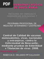 Download Presentacin Tesis - Control de Calidad de Vacunas contra la Enfermedad de Newcastle mediante Pruebas de Esterilidad y Titulacin de Virus by Rebecca D Delgado McCullough SN9312139 doc pdf