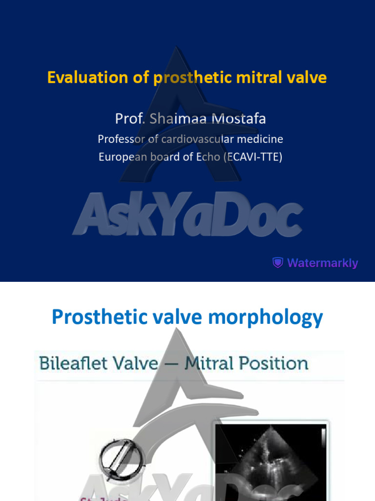 Prosthetic Mitral Valve Evaluation Guide | PDF