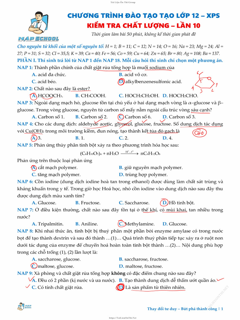 Viết Tay KSCL - Lớp 12 - 2K8 - Lần 10 | PDF