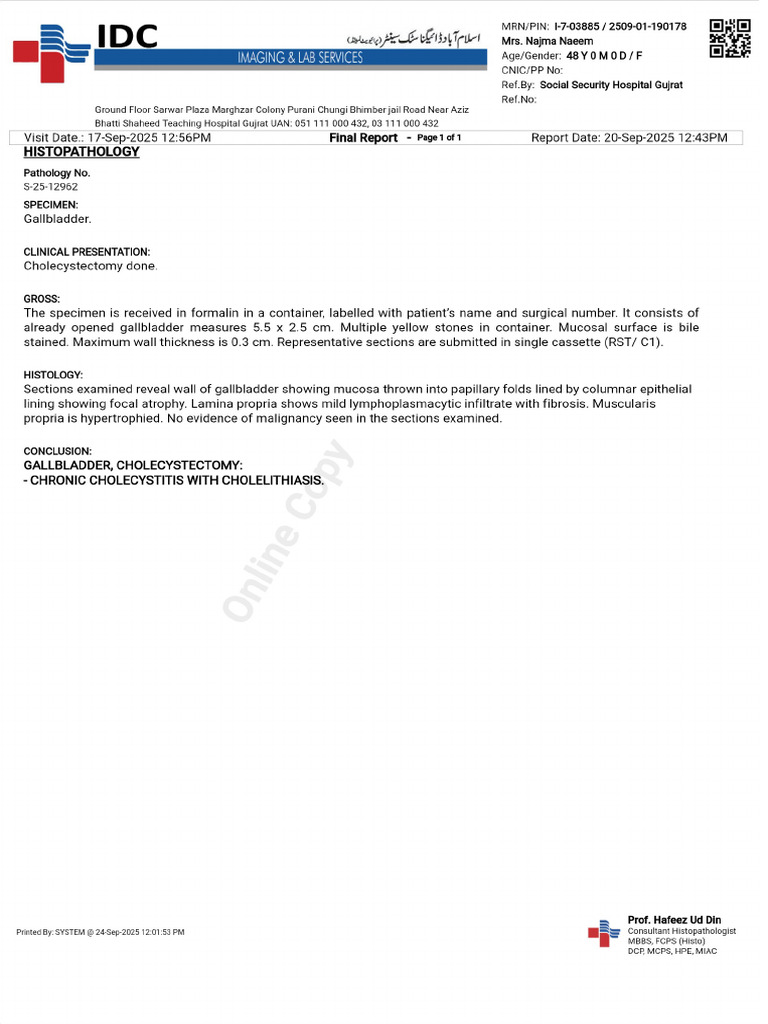 Patient Report PDF | PDF