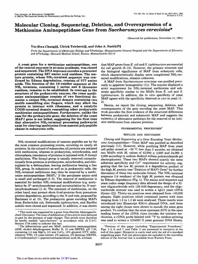 Yeast Methionine Aminopeptidase Gene Study | PDF | Proteins | Molecular ...
