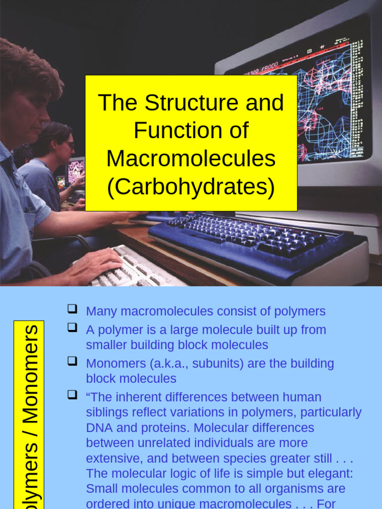 Structure and Function of Carbohydrates | PDF | Macromolecules ...